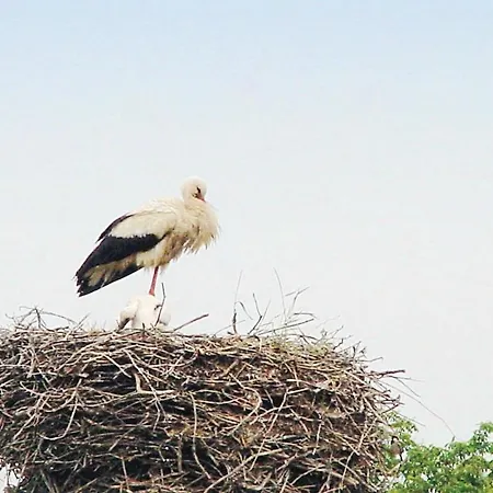 Сasa de vacaciones Schloss Poggelow *