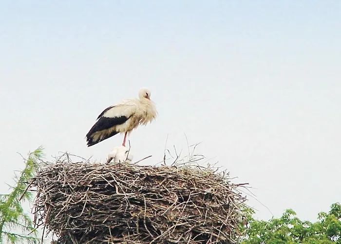 Casa de Férias Schloss Poggelow *